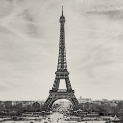 The Eiffel Tower