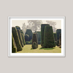 Le Jardin IV
