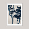 The Pine Tree