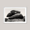 The Stones VI