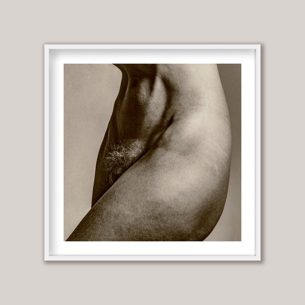 Porcelain XLIV - IV