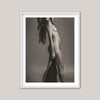 Porcelain VIII