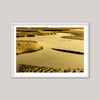 Wittering Gold V