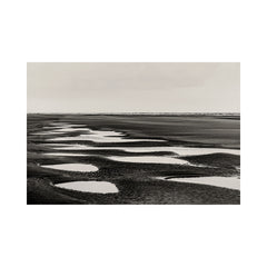Wittering Black I