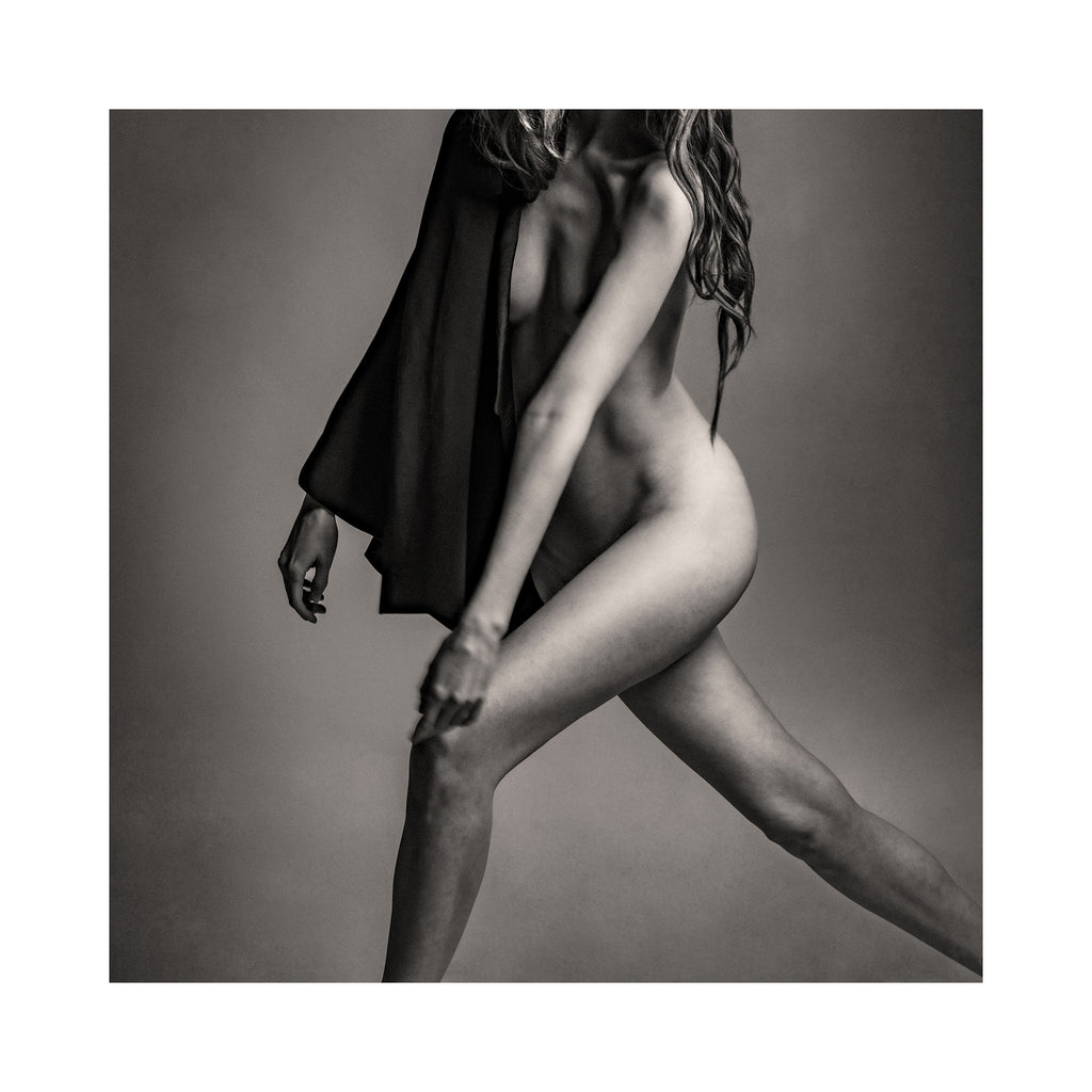 Porcelain Muybridge V