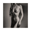 Porcelain: Presence
