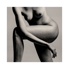 Porcelain VII