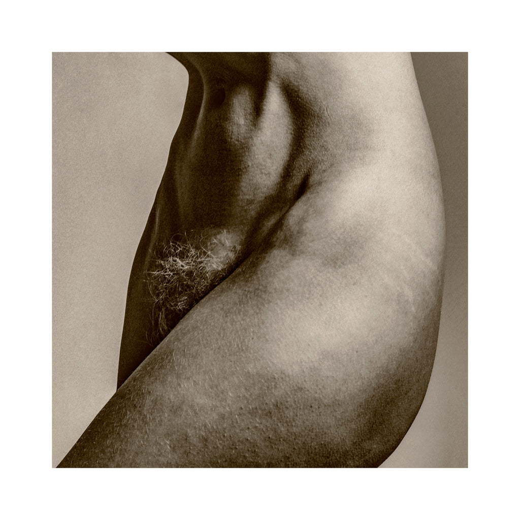 Porcelain XLIV - IV
