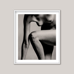 Porcelain XV