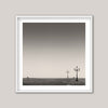 The Outliers, Venice