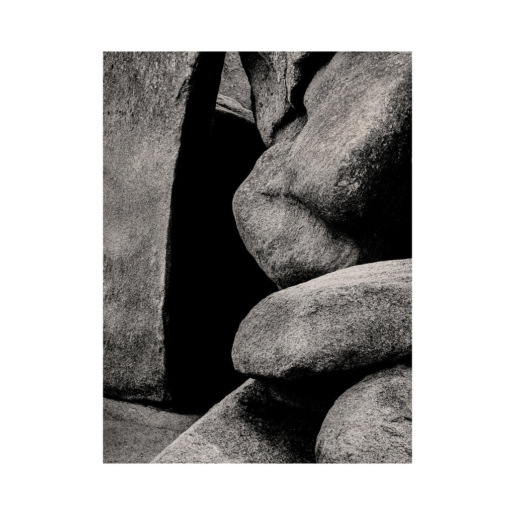 The Giant