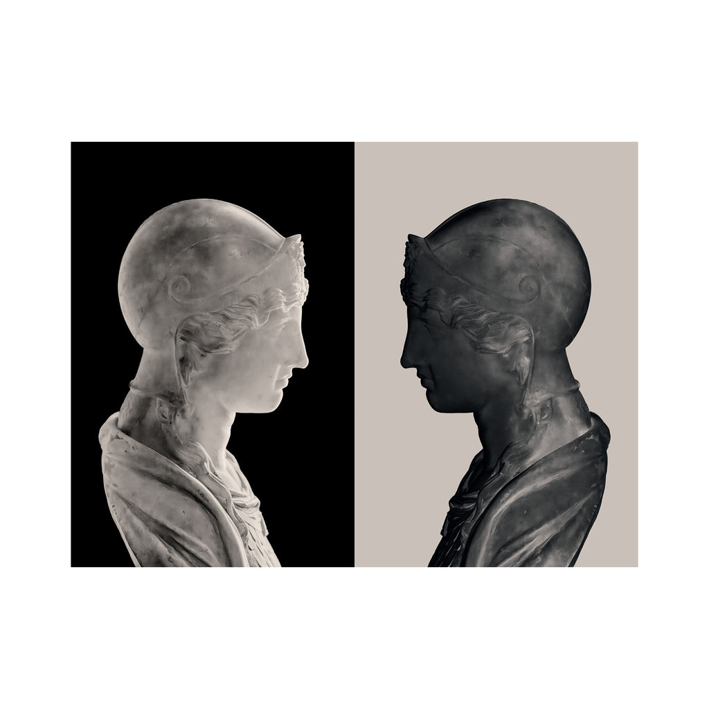 The Mirror and the Shadow