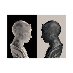 The Mirror and the Shadow