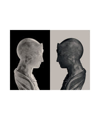The Mirror and the Shadow