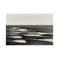Wittering Black I