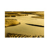 Wittering Gold V