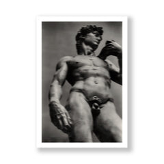 Michelangelo's David